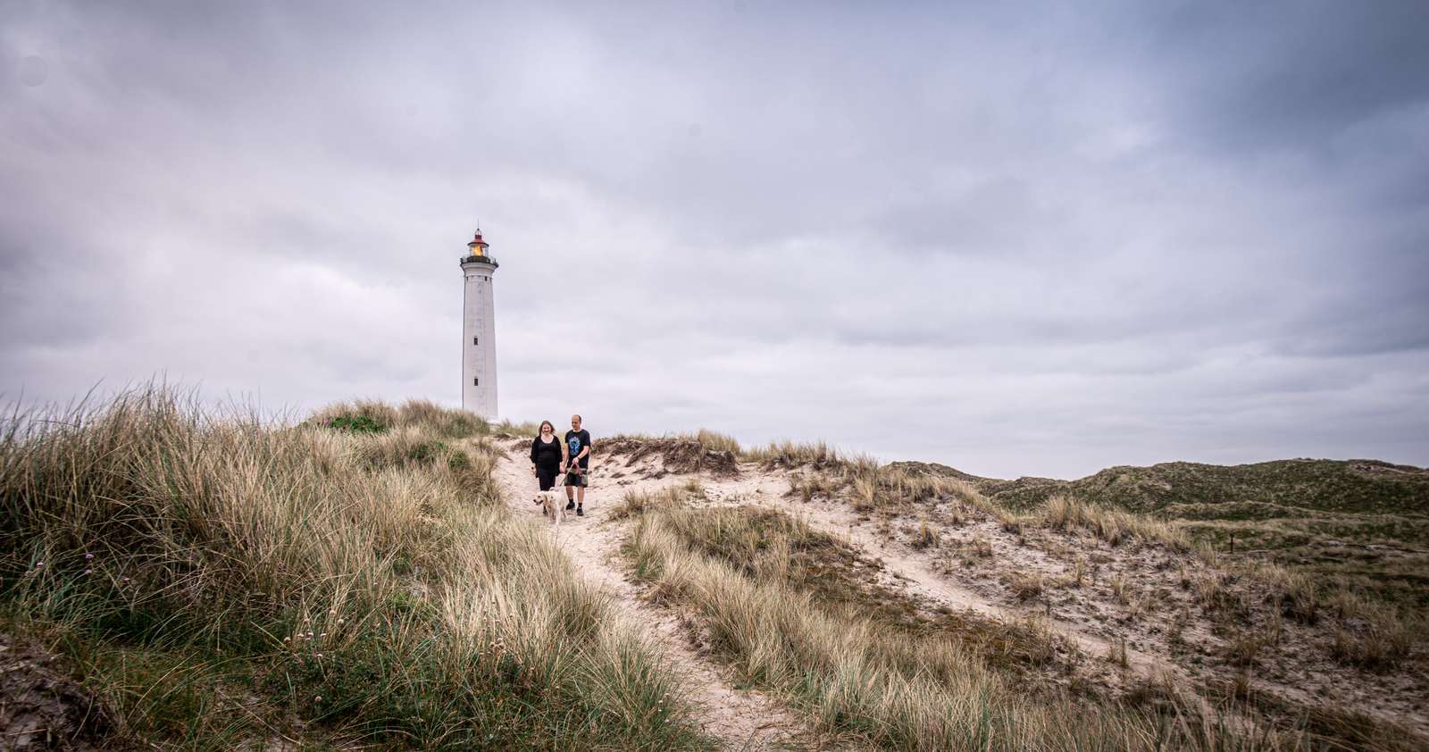 Lyngvigfyr ©Ringkøbingskjernmuseum 0024 3 1200Px