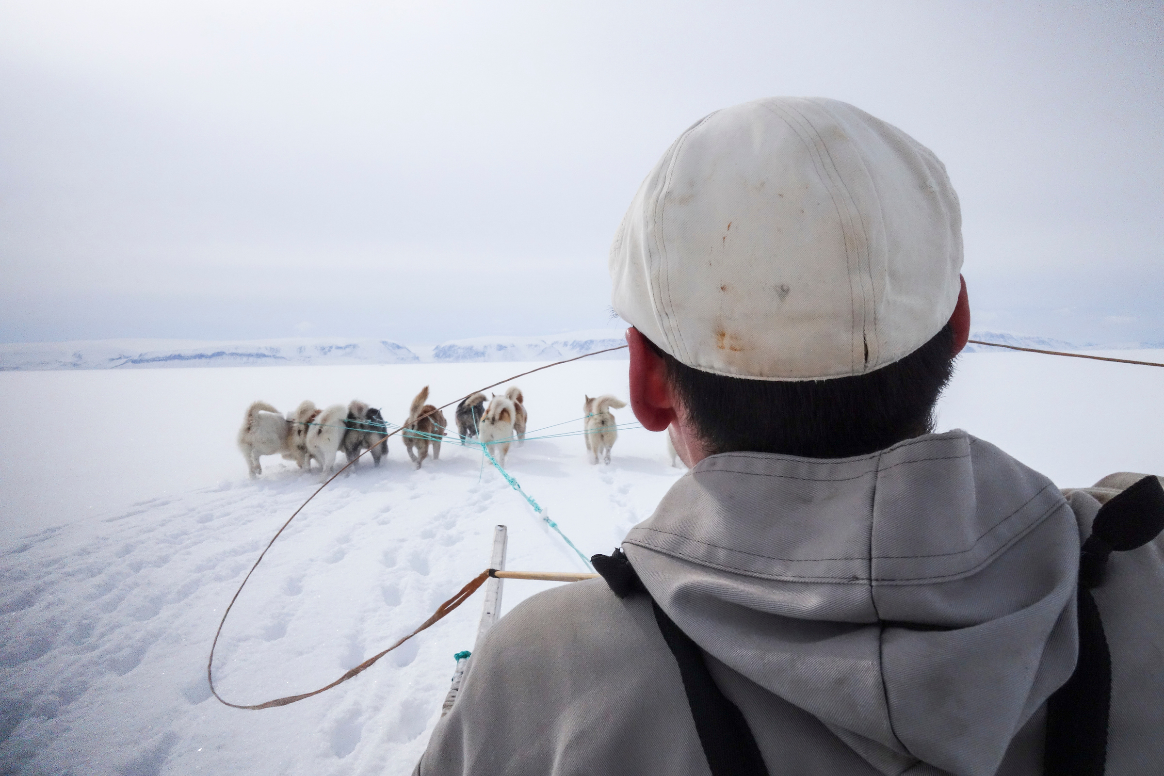 On The Sled. Photo Kim Insuk, Visit Greenland