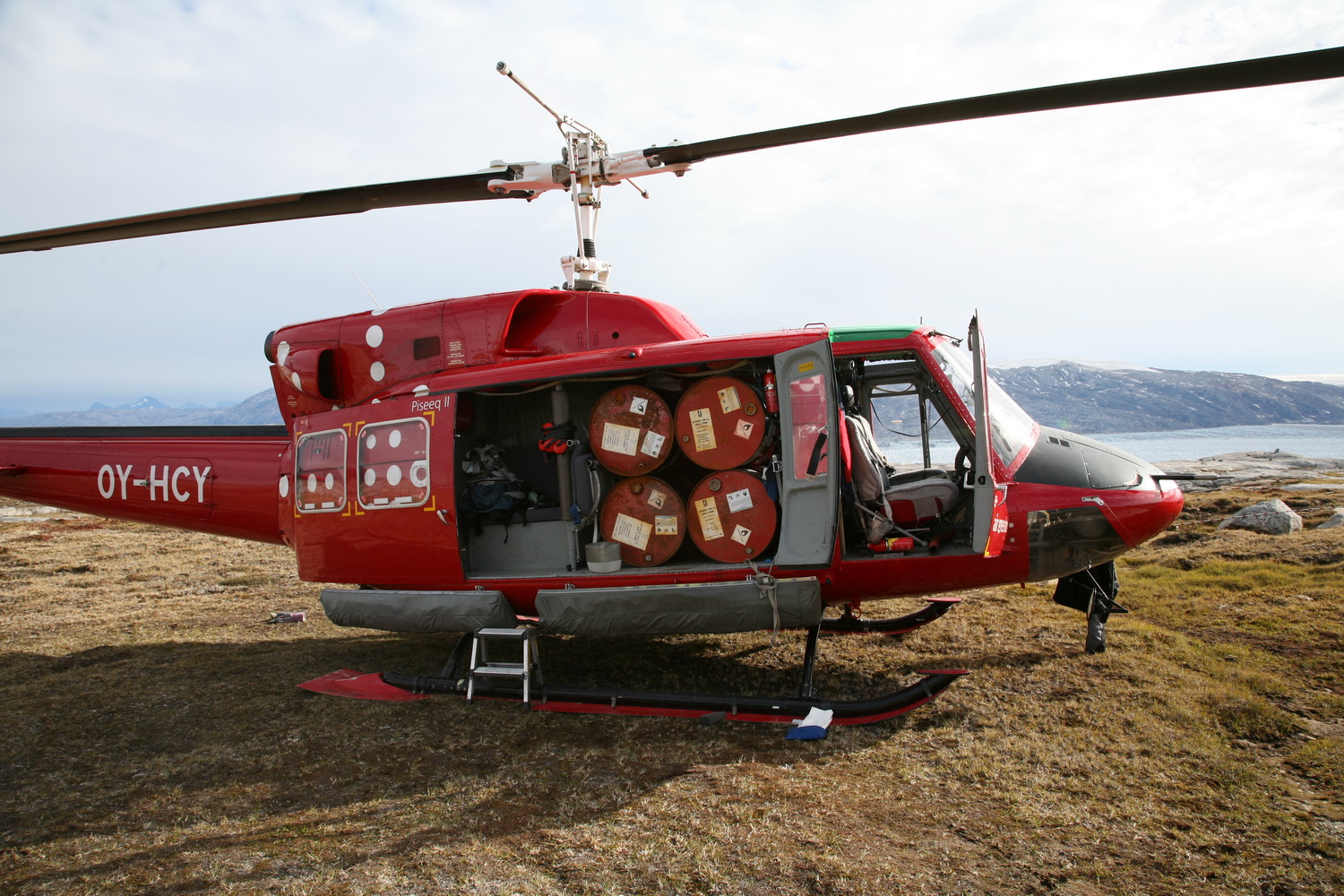 Hvorfor den også kaldes for en arbejdshest Foto: Arkiv 