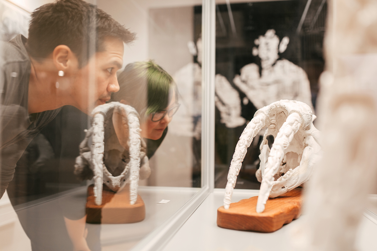Looking At Carving Art, Nuuk. Photo Rebecca Gustafsson , Visit Greenland (1)